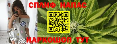 сатива Кулебаки
