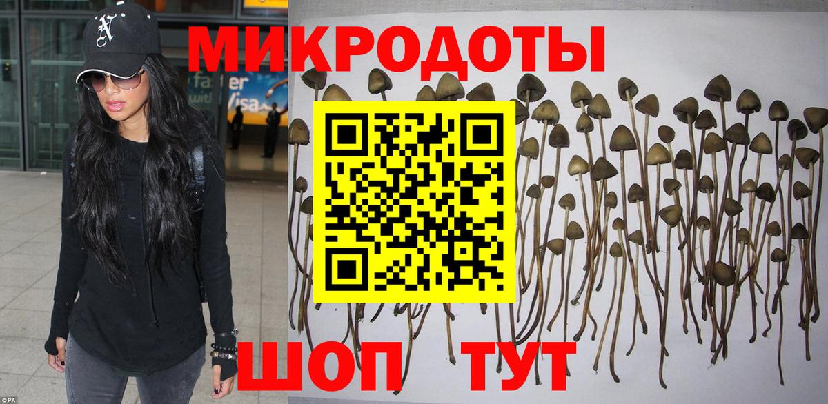 Галлюциногенные грибы мицелий Елабуга
